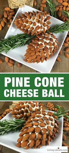 Pine Cone Cheese Bal