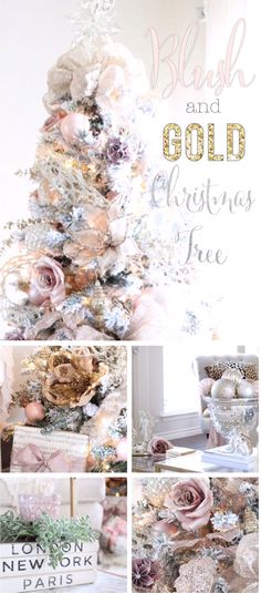 You have to see this