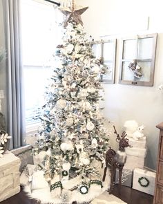 Gorgoues neutral far