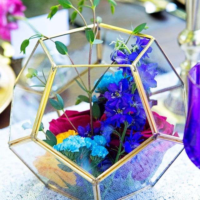 Ive been MIA for a few weeks now Its beenhellip