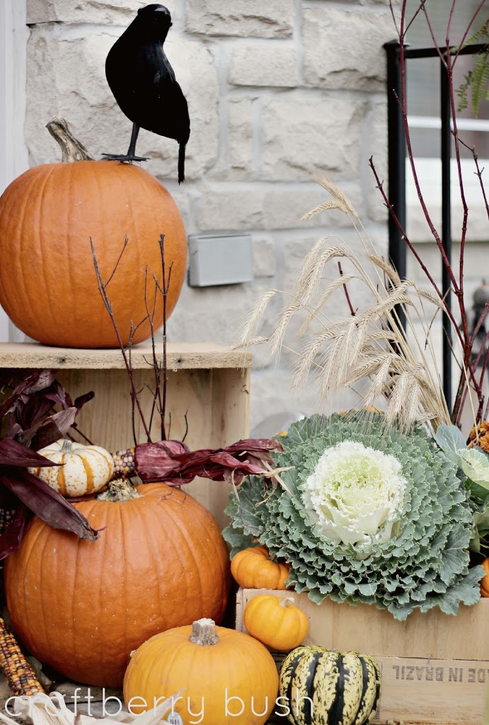 pumpkins and crow